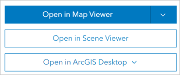 Map Viewer で開く