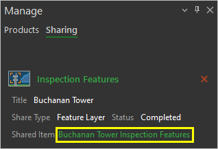 Buchanan Tower Inspection Features リンク