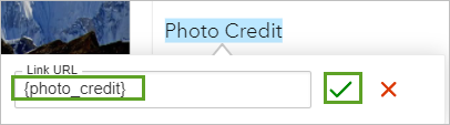 リンクの URL ウィンドウが photo_credit フィールドに設定された状態