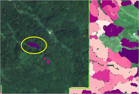 州立公園の中央にある一部のピクセルが濃い紫でシンボル表示されています。