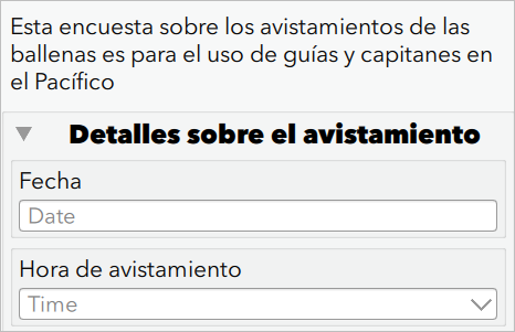 スペイン語での調査