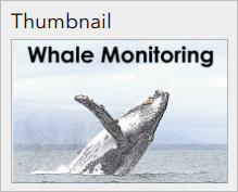 Whale Monitoring のサムネイル