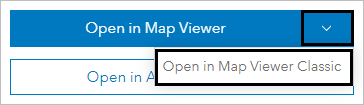 [Map Viewer Classic で開く] オプション