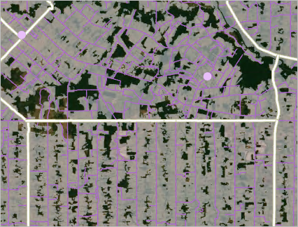 Deforested Area レイヤーの透過表示