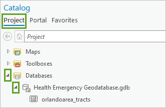 カタログ ウィンドウのプロジェクト タブで展開されているデータベースと Health Emergency Geodatabases.gdb