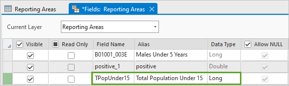 Reporting Areas レイヤーのフィールド ビューの新しいフィールドの値