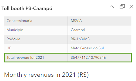 Total revenue for 2021 в образце всплывающего окна