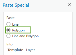Опция Полигон в окне Специальная вставка