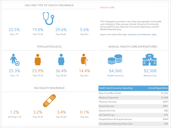 Инфографика Health Care (Esri 2024)