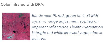 Комбинация каналов Color Infrared with DRA