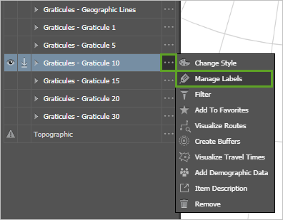 Опция Управление надписями для слоя Graticules - Graticule 10