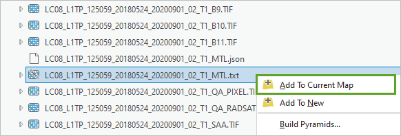 Файл MTL.txt перетаскивается с панели Каталог на карту