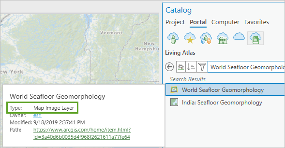 Всплывающее окно с метаданными для слоя World Seafloor Geomorphology