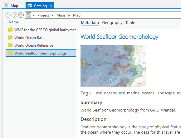 Вид каталога с метаданными для слоя World Seafloor Geomorphology