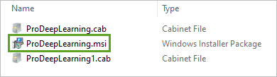 Пакет установщика Windows ProDeepLearning.msi