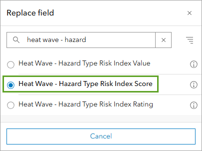 Heat Wave - Hazard Type Risk Index Score в окне Заменить поле