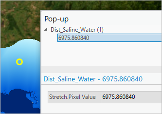 Всплывающее окно для слоя Dist_Saline_Water