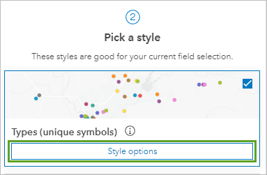 Кнопка Опции стиля для Типы (Уникальные символы) на панели Стили
