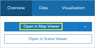 Опция Открыть в Map Viewer