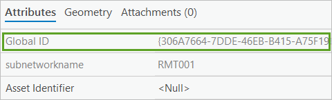 Атрибут Global ID на панели Атрибуты