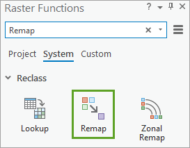 搜索结果列表中的 Remap 栅格函数