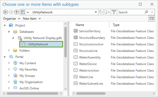 已在“选择一个或多个具有子类型的项目”窗口中选择 UtilityNetwork