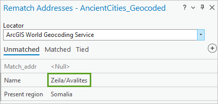 “重新匹配地址”窗格中的 Zeila/Avalites 名称