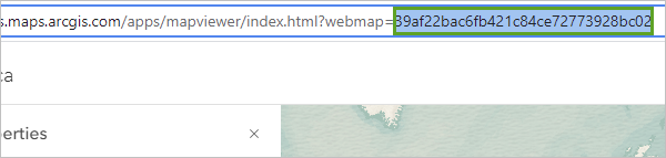GUID 在浏览器地址栏中高亮显示。