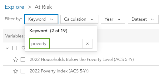 在“数据浏览器”窗口中 At Risk 类别中，使用“关键字”过滤器搜索 poverty