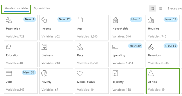 “数据浏览器”窗口中“标准变量”选项卡上的 At Risk 类别