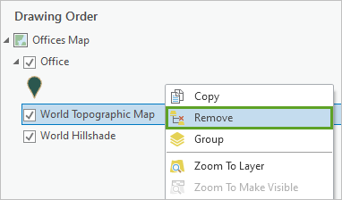 World Topographic Map 图层快捷菜单中的移除选项