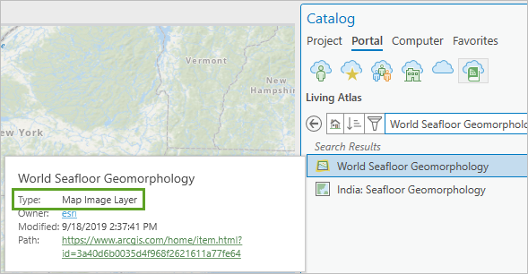 World Seafloor Geomorphology 图层的元数据弹出窗口