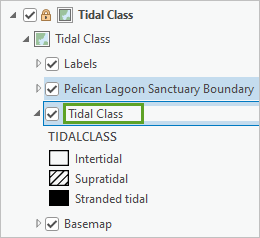 内容窗格中重命名的 Tidal Class 图层