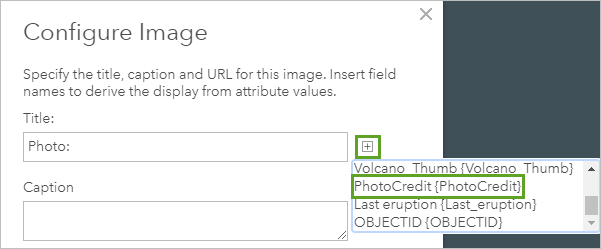 添加字段名称。