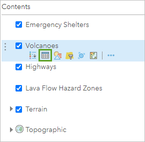“显示表”按钮
