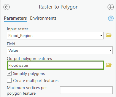 Raster to Polygon 参数