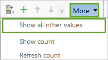 选择“显示其他所有值”
