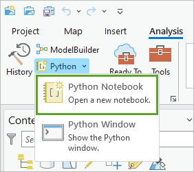 显示 Python Notebook。