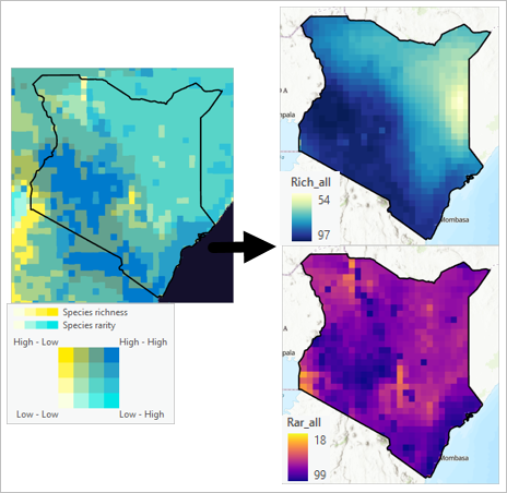 丰富度和稀有度图层分割