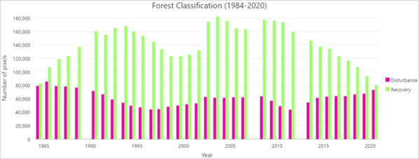 森林分类图表