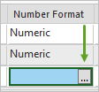 “为数值和数据字段类型确定显示格式”按钮