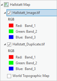 “内容”窗格中的 Hallstatt_Image.tif 和 Hallstatt_Duplicate.tif