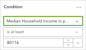 条件字段的 Median Household Income 字段